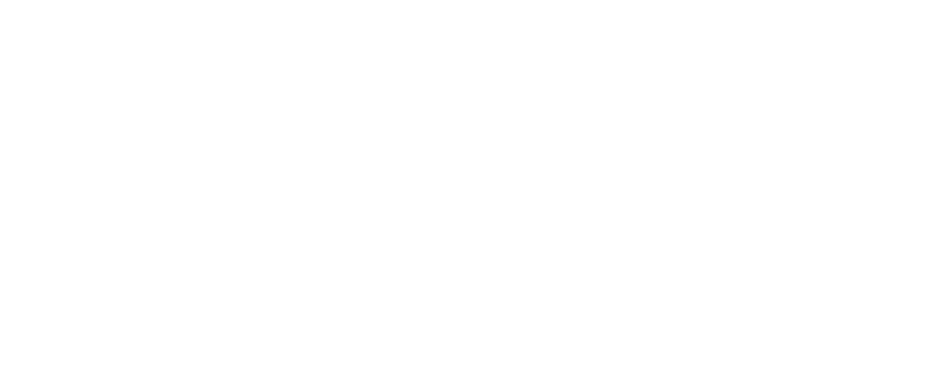 Logo blanco